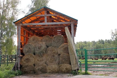 Фото пресс-службы Госкомитета по ГО, ЧС и ПБ Хакасии